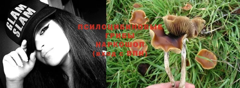 Галлюциногенные грибы MAGIC MUSHROOMS  хочу   МЕГА вход  Ступино 